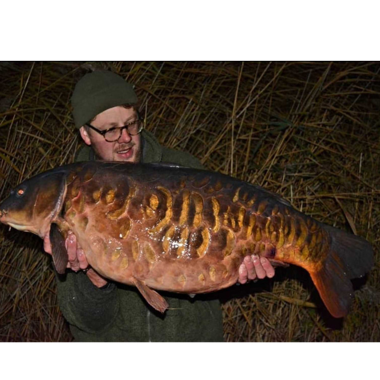 Man holding a fish he caught